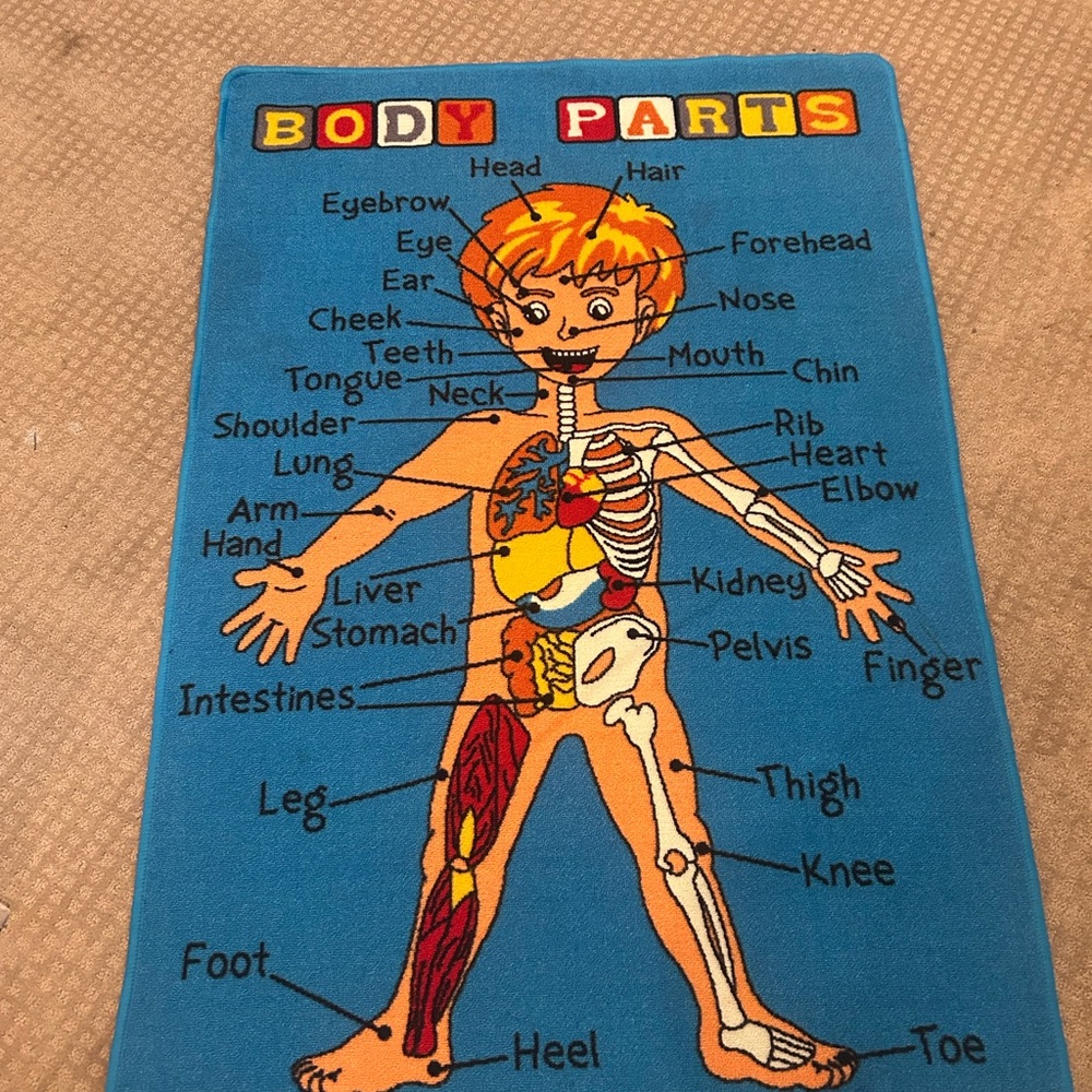Colorful Educational Body Parts Rug